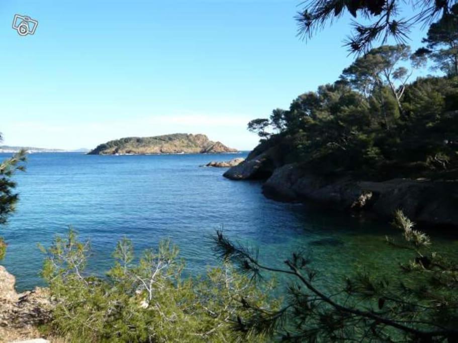 Cocooning Le Mugel Aux Portes Des Calanques De Cassis & Apartment